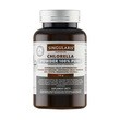 Singularis Chlorella Powder 100% Pure, proszek, 100 g