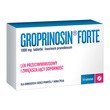 Groprinosin Forte, 1000 mg, tabletki, 10 szt.