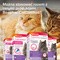 Beaphar CatComfort Excellence Kot, zestaw startowy z dyfuzorem, 48 ml