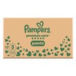 Pampers Premium Care Pants 3, (6-11 kg), pieluchomajtki, 114 szt.