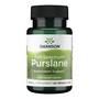 Swanson Full Spectrum Purslane, kapsułki, 60 szt.