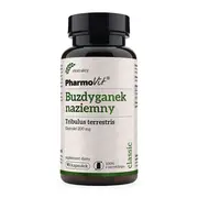 Pharmovit Buzdyganek naziemny, kapsułki, 90 szt. https://azcdn.doz.pl/image/d/product/9e0f044b-scale-180x180.png