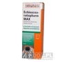 Echinacea-ratiopharm Max, płyn doustny, 50 ml