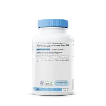 Osavi Niacynamid 500 mg, kapsułki twarde, 60 szt.