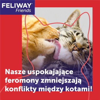 Feliway Friends, wkład uzupełniający 48 ml, 1 szt.