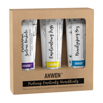 Wegański zestaw odżywek do średniej porowatości, proteinowa zielona herbata + emolientowy irys + nawilżający bez, 3x100 ml