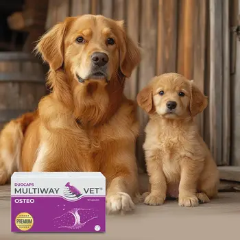 Multiway Vet Duocaps Osteo, kapsułki twist-off na stawy dla psa i kota, 60 szt.