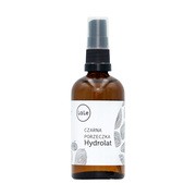 LaLe Czarna Porzeczka, hydrolat, 100 ml https://azcdn.doz.pl/image/d/product/01fc015a-scale-180x180.png