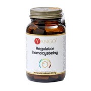 Yango Regulator homocysteiny, kapsułki, 90 szt.