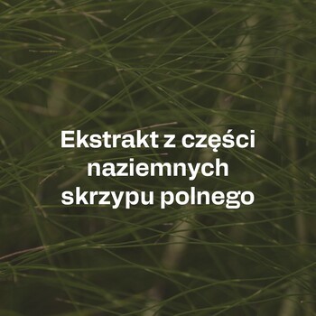 OstroVit Pharma Perspicare, kapsułki, 90 szt.