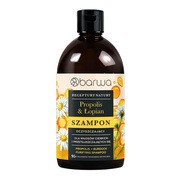 Barwa Receptury Natury, szampon oczyszczający, Propolis & Łopian, 380 ml https://azcdn.doz.pl/image/d/product/78dc3a53-scale-180x180.png