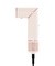 Beautifly Multistyler StyleBliss Rose, 1 szt.