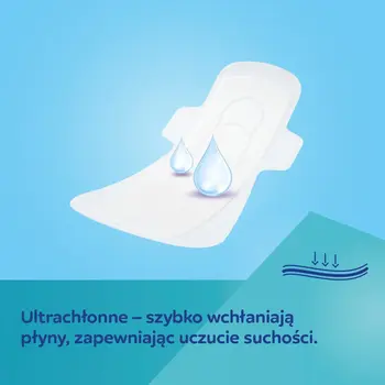 Canpol Babies, podpaski poporodowe ze skrzydełkami, Normal, 10 szt.
