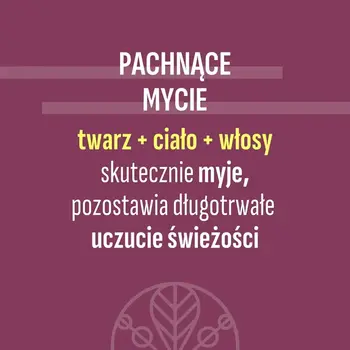 Sylveco Duetus For Men, energetyzujący żel pod prysznic 3w1, 300 ml