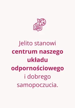 Omni Biotic 6, saszetki z proszkiem, 3 g x 60 szt.