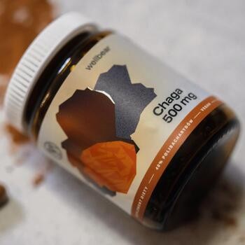 Wellbear Chaga (Błyskoporek podkorowy) 500 mg, kapsułki, 60 szt.