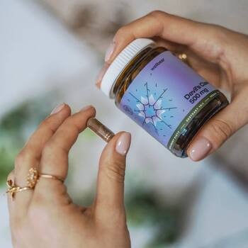 Wellbear Devil's Claw 500 mg, kapsułki, 60 szt.