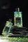 CannaBio, Bałtycki Olejek Algowy Body&Bath, 300 ml