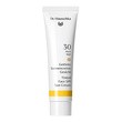 Dr.Hauschka, krem tonujący do twarzy SPF 30, 40 ml