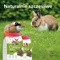 Beaphar Care+ Nature, karma dla królików, 1,5 kg