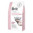 Brit Veterinary Diets Cat Grain-free Hypoallergenic, bezzbożowa, hipoalergiczna karma dietetyczna dla kociąt i dorosłych kotów z problemami dermatologicznymi, łosoś i groch, 2 kg
