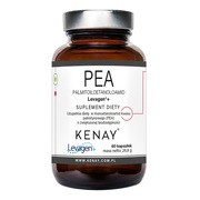 PEA Palmitoiloetanoloamid Levagen+, kaps., 60 szt https://azcdn.doz.pl/image/d/product/92b641d9-scale-180x180.png
