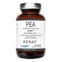 PEA Palmitoiloetanoloamid Levagen+, kaps., 60 szt