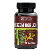 Skoczylas Krzem Bor Jod, skrzyp, bambus, algi, kapsułki, 60 szt. https://azcdn.doz.pl/image/d/product/26785ba3-scale-180x180.png