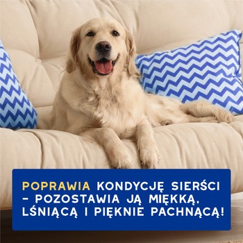 Douxo Spa Hydrating Shampoo, szampon nawilżający dla psów, 250 ml