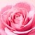 Nuxe Very Rose, żel łagodzący do mycia twarzy, 150 ml