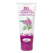 Gorvita, żel żywokostowy z jałowcem i MSM, 200 ml https://azcdn.doz.pl/image/d/product/4152f883-scale-180x180.png