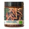 MYQO BIO Cordyceps sinensis Maczużnik chiński, proszek, 100 g