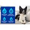 Douxo Spa Quick Refresh Dog Mousse, Pianka bez spłukiwania dla psów, 150 ml