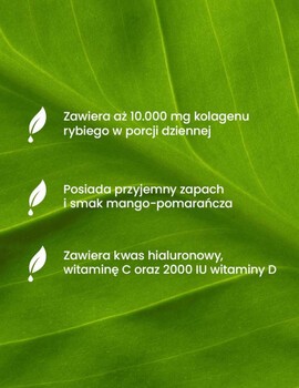 Essensey Kolagen Rybi Premium 10 000 mg, proszek, smak mango - pomarańcza, 321 g