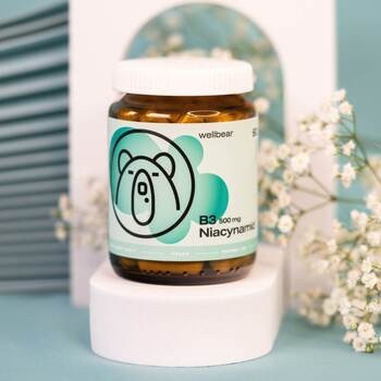 Wellbear Witamina B3 500 mg Niacynamid, kapsułki, 60 szt.