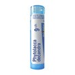 Boiron Phytolacca decandra, 9 CH, granulki, 4 g