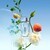 L'eau Kenzo Pour Femme, woda toaletowa, 100 ml