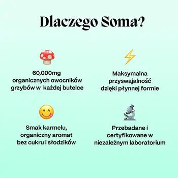 Soma Chaga, płyn, 60 ml