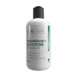 Bioelixire, wygładzający szampon do włosów, 300 ml