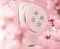 Zestaw Garett Beauty, Perfect Body + Cellu Body, 1 szt.