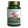 Activlab Pharma Wierzbownica, tabletki, 30 szt.