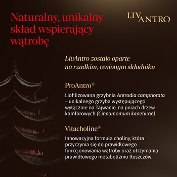 LivAntro, kapsułki, 60 szt.