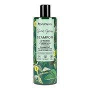Vis Plantis, szampon do włosów osłabionych z tendencją do wypadania, kozieradka, czarna rzepa, skrzyp polny, 400ml https://azcdn.doz.pl/image/d/product/949a210b-scale-180x180.png