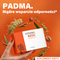 Padma Basic, kapsułki, 100 szt.