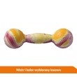 Sum-Plast Hantel, zabawka dla psa, mały, 14 cm, 1 szt.