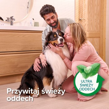 Beaphar pasta do zębów dla psów i kotów, smak mięty i pietruszki, 100 g