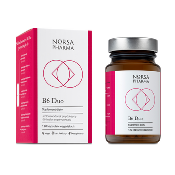 Norsa Pharma B6 Duo, kapsułki, 120 szt.