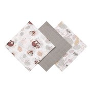 Babyono, Pieluszki muślinowe 358/10, 3 szt. https://azcdn.doz.pl/image/d/product/bfe5fa26-scale-180x180.png