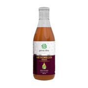 Green Idea Artroregen Premium, syrop na stawy, 250 ml        
