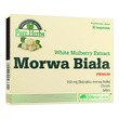 Olimp Morwa Biała Premium, kapsułki, 30 szt.